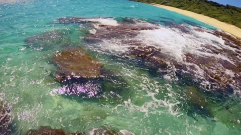 Horizontal pane view standing at coral rocky coastline with shallow blue green w 스톡 동영상 279141442