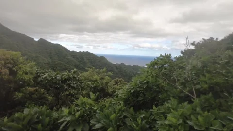 Horizontal pane view on top of hill look out in jungle forest tropical environme Stock Footage 245446681