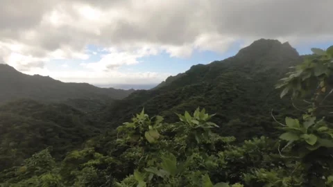 Horizontal pane view of top of hill look out in jungle forest tropical environme Stock Footage 245446823