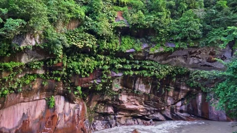 Horizontal panning Amazon cliff Peru Video stock 323212776