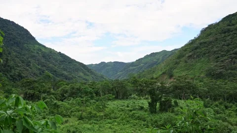 Horizontal panning Amazon valley Peru Stockbeeldmateriaal 323212074