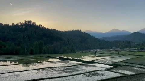Horizontal Panning Shot of Rice Terraces and Mountains in Bali Stock Footage 339646575