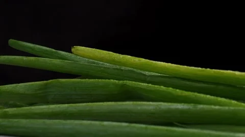 Horizontal panning shot of spring onion isolated black background Stock Footage 277782852