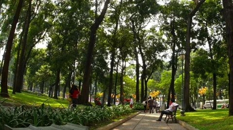 Horizontal panning view the park in the Ho Chi Minh City Stock Footage 61870813