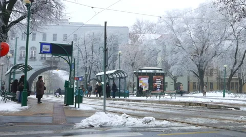 Horizontal panning view of a tram stop in the centre of Szeged in winter Stock-Footage 61870261