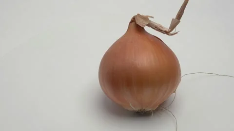 Horizontal panorama of onions on a white background. Stockbeeldmateriaal 266008271