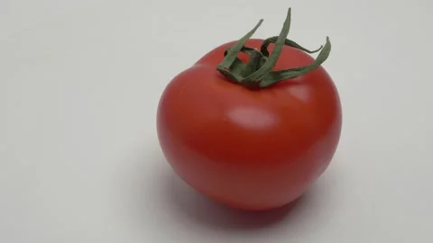 Horizontal panorama of a red tomato on a white background. Stockbeeldmateriaal 266007547