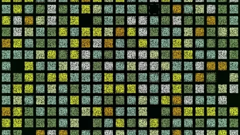 Horizontal parallel rows of small qr codes with moving into the same direction Stock Footage 156814506
