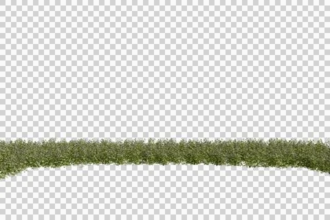 A horizontal patch of green meadow grass and wild wildflowers Stock Photos