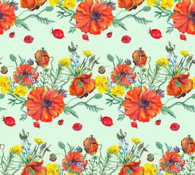 Horizontal pattern with graceful red poppies in wildflowers and scattered Stock Illustration
