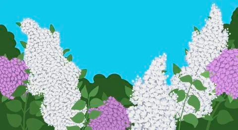 Horizontal pattern of lilac bushes and plants. Spring Vector Illustration Stock Illustration