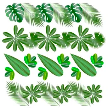 Horizontal patterns. Leaves of tropical plants. Isolated items. Monstera, fic Stock Illustration