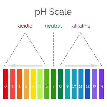 Horizontal pH scale for measuring acid alkaline balance. Chemical value test Stock Illustration