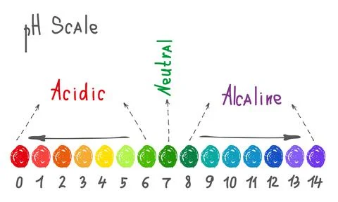 Horizontal pH scale for measuring acid alkaline balance. Chemical value test Stock Illustration