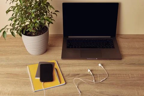 Horizontal photo angle view to workspace desk. Laptop with blank screen, pott Stock Photos