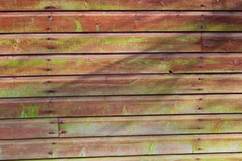 Horizontal plank wall with green mold Stock Photos