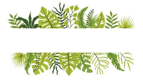 Horizontal poster with tropical leaf border in flat cartoon style. Stock Illustration