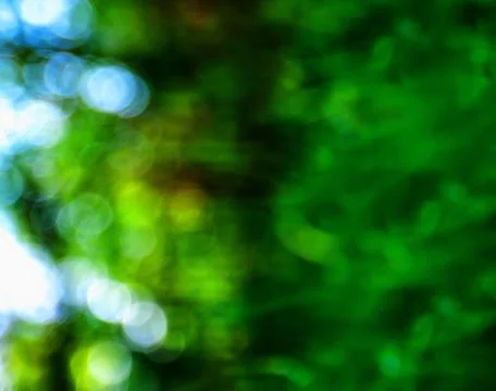 Horizontal presentation green bokeh background backdrop Stock Photos