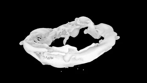 Horizontal ring of white paint transforms into drop - on black + alpha (FULL HD) Video stock 80883450