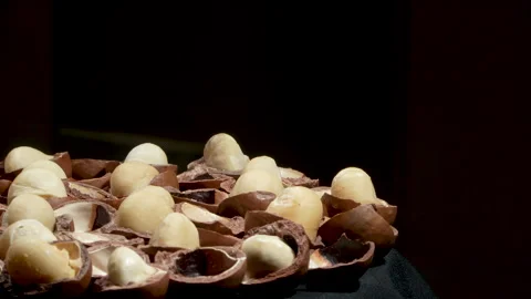 Horizontal Rotating Cracked Macadamia Nuts with Large Copy Space. Stock Footage 332832383