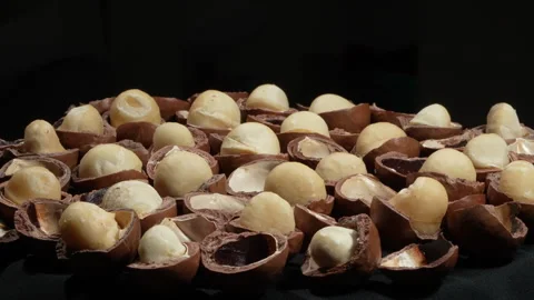 Horizontal Rotating Pattern of Cracked Macadamia Nuts with Top Copy Space. 스톡 동영상 332832781