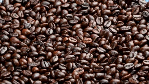 Horizontal Rotating Roasted Coffee Beans Softbox Lighting Vídeo Stock 331930664
