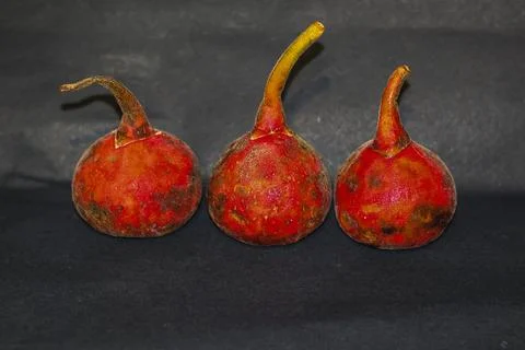 A horizontal row of three exotic red water apples with long stems Fotos Stock