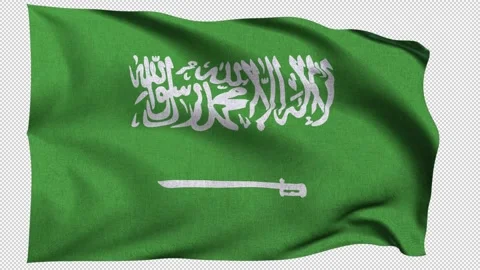 Horizontal Saudi Arabia Flag Stock Footage 340542746
