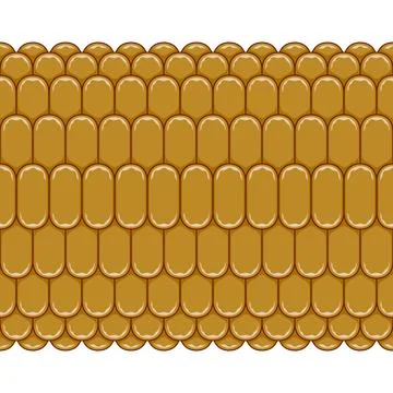 Horizontal seamless pattern with corn cob texture, maize Stock Illustration