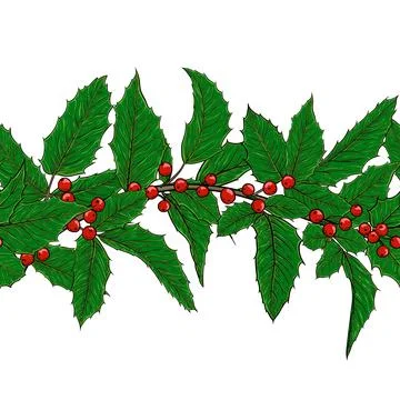 Horizontal seamless pattern holly, ilex branch with berry and leaves on whi.. Stock Illustration