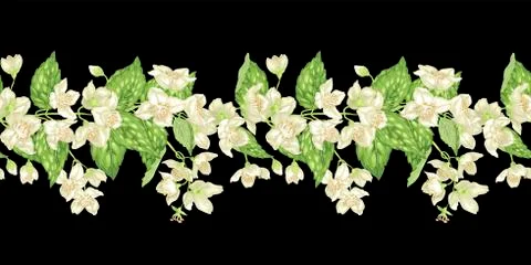 Horizontal seamless pattern ornamental line with jasmine flowers, buds and le Stock Illustration