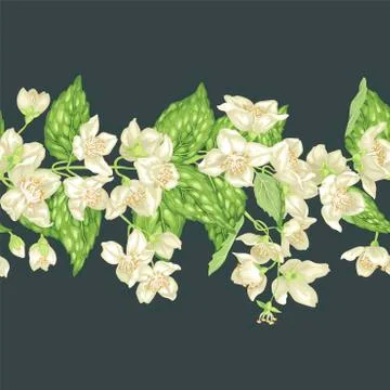 Horizontal seamless pattern ornamental line with jasmine flowers, buds and le Stock Illustration