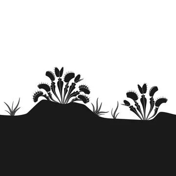 Horizontal seamless pattern with silhouette of Venus flytrap and grass Stock Illustration