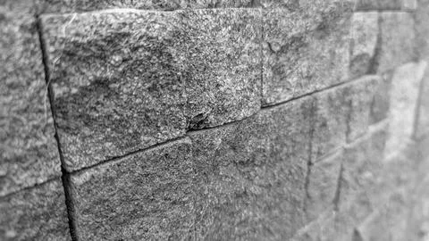 A horizontal shallow depth of field perspective captures a close up view of.. Stock Photos
