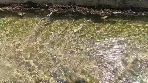 Horizontal Shot of Clear Water Flowing in Concrete Trench Stock-Footage 339911869