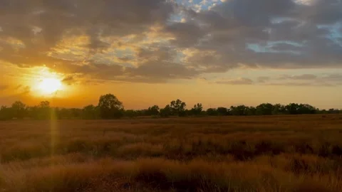 Horizontal Shot of Golden Sunset Light Over Dry Savanna Field Video stock 341551970