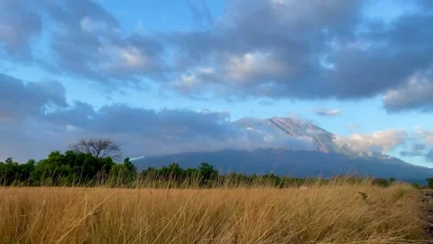 Horizontal Shot of Mount Agung Behind Golden Savanna Field 動画素材 341551973