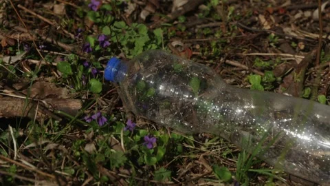 Horizontal shot of plastic bottle falling on flowers in spring forest Stock Footage 333118467