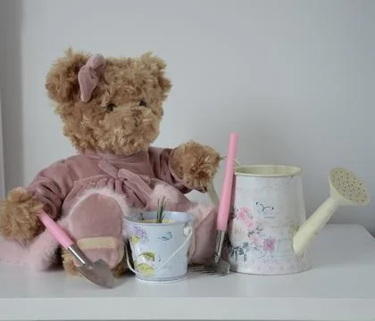Horizontal shot of a plush teddy bear in a pink dress with a watering can, garde Stock Photos