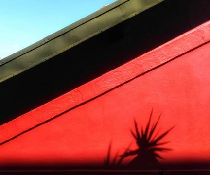 Horizontal shot of a red building with the shadow of thorns on a sunny day Fotos de archivo