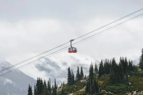 A horizontal shot of a red cable car going up the mountain with pine trees vi Stock Photos