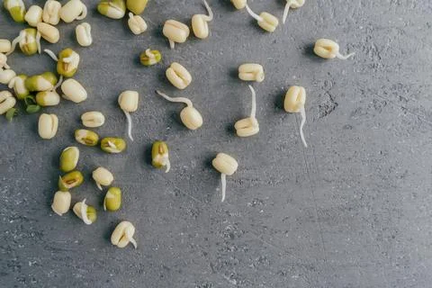 Horizontal shot of sprouted mung beans for your healthy eating isolated ove.. Stock Photos