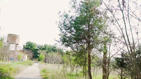 Horizontal slide from the park to the trees and the sun flares in the forest 動画素材 105036611