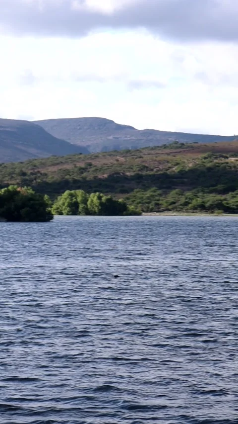 Horizontal Slow motion lake waves for background Stock Footage 214617193