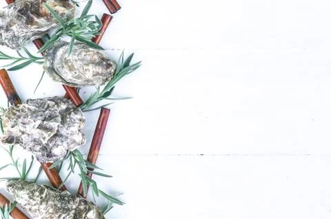 Horizontal spa border. Oyster shells, sea pebbles, dry bamboo, young sprouts  Stock Photos