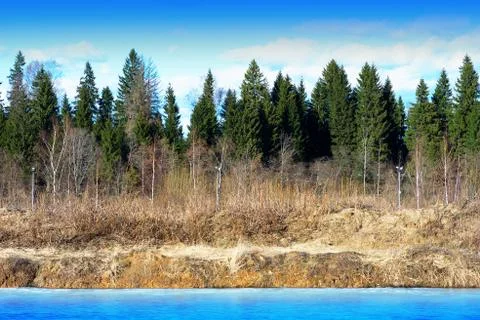 Horizontal spring forest river landscape background Stock Photos