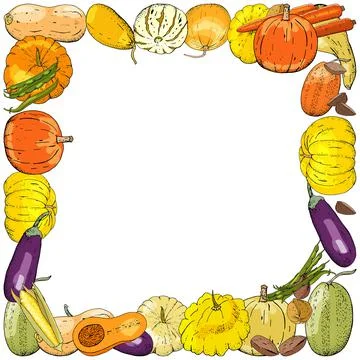 Horizontal Square autumn rectangle colored frame composed of different fresh  Stock Illustration