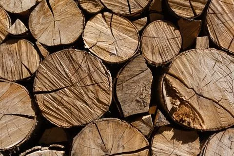 Horizontal squeezed logs Stock Photos