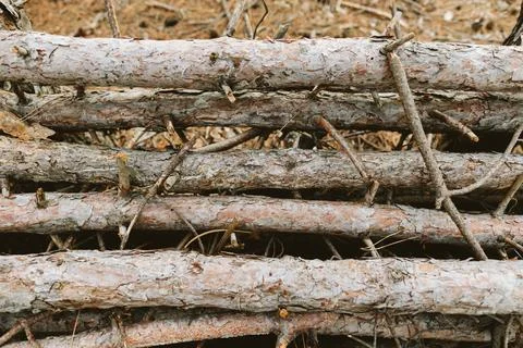 Horizontal stack of tree trunks with textured bark Stock Photos