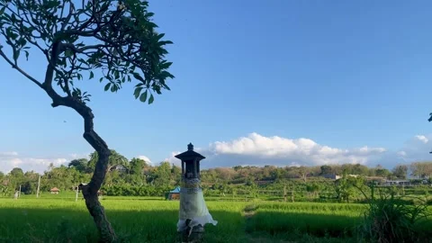 Horizontal Static Shot of Balinese Shrine in Rice Field Bali Stock Footage 340411378